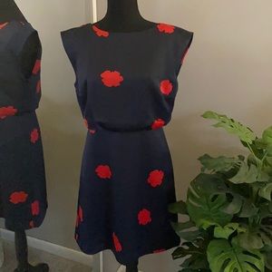 Beautiful NWT Banana Republic Dress Size 0 Petite